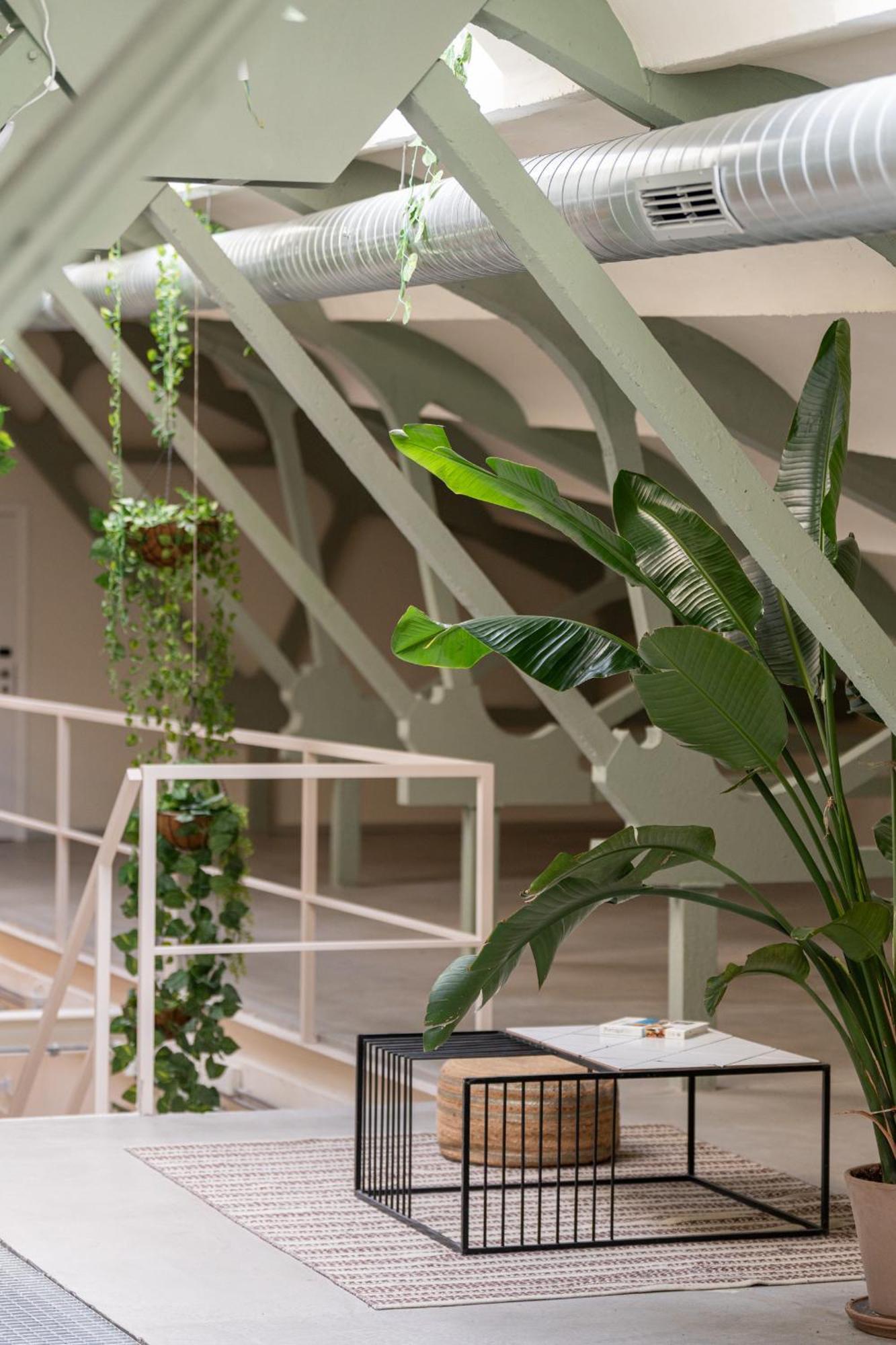 Ola Living Hostal Tetuan Madrid Exterior photo
